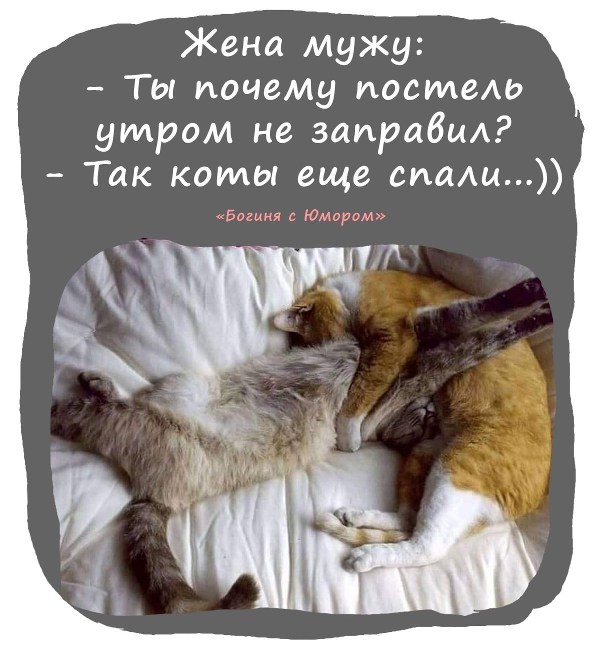 Жена мужу:
- Ты почему постель утром не заправил?
- Так коты еще спали..))
«Богиня с Юморном»