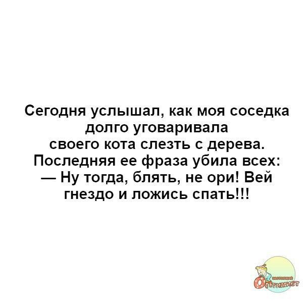 Сегодня услышал, как моя соседка долго уговаривала своего кота слезть с дерева. Последняя ее фраза убила всех: — Ну тогда, блядь, не ори! Вей гнездо и ложись спать!!!