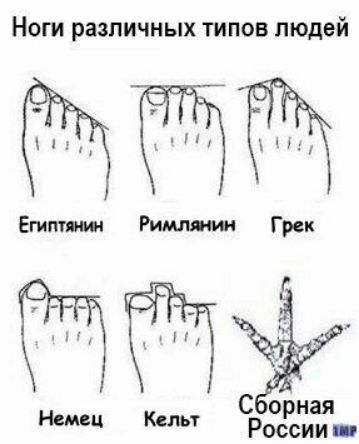 Ноги различных типов людей
Египтянин
Римлянин
Грек
Немец
Кельт
Сборная России