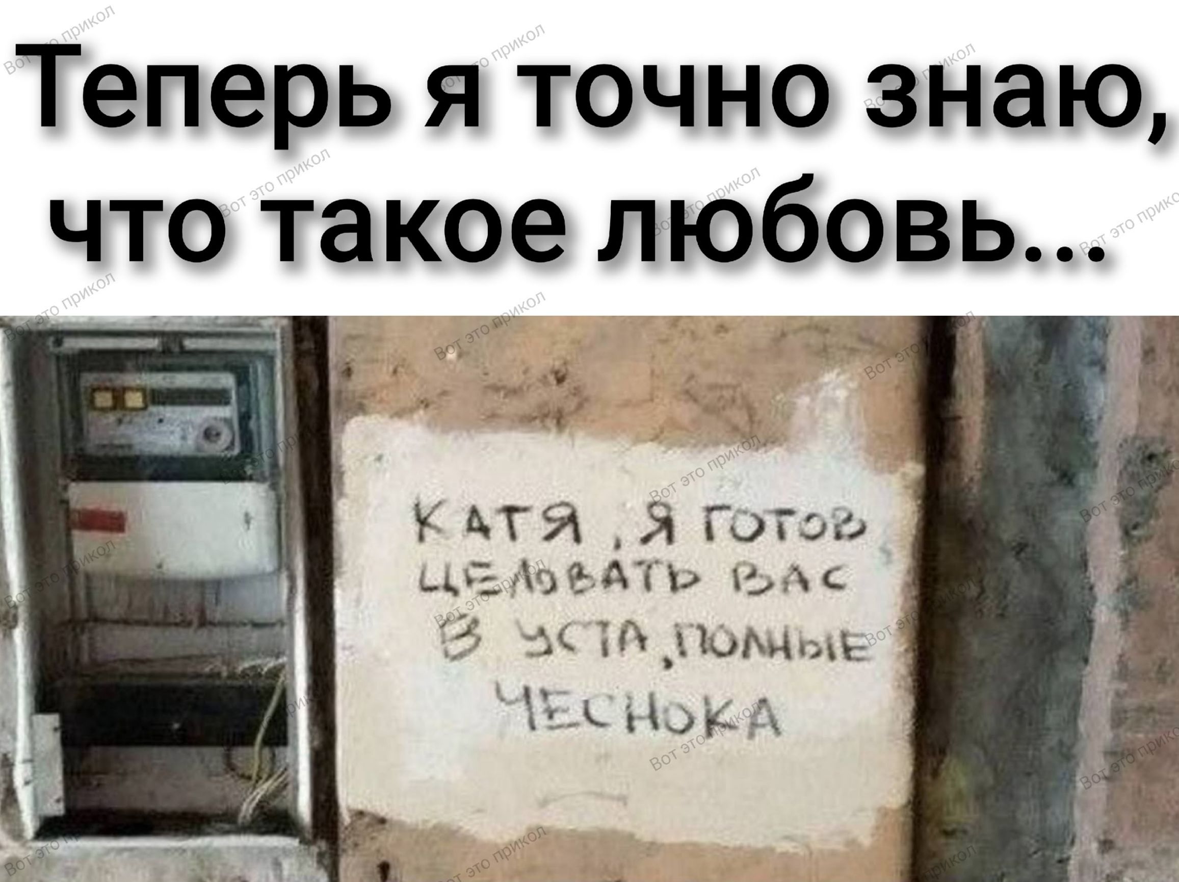 Теперь я точно знаю, что такое любовь... Катя, я готов целовать вас в уста, полные чеснока