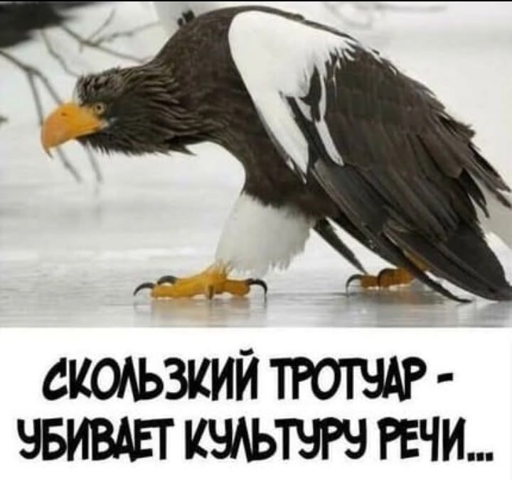 СКОЛЬЗКИЙ ТРОТУАР - УБИВАЕТ КУЛЬТУРУ РЕЧИ...