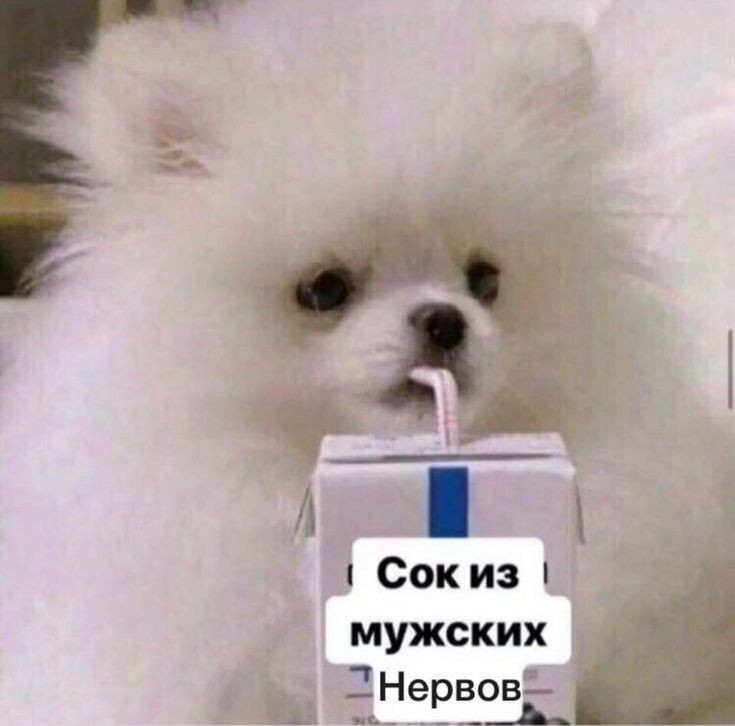 Сокиз мужских э я Нервов