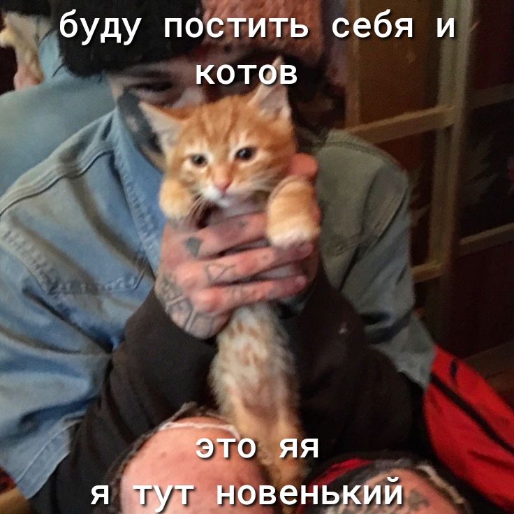 гбуду себя и