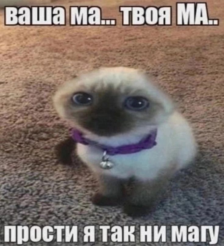1931111ама твоя МА піібсти я так ни маш