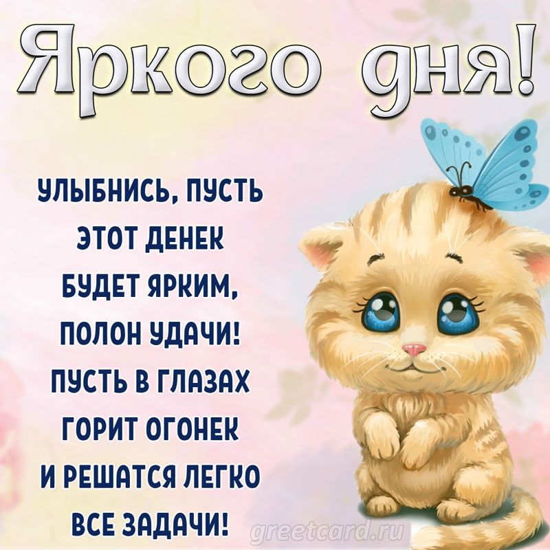 Яркого дня!\nУлыбнись, пусть этот денёк будет ярким,\nполон удачи!\nПусть в глазах горит огонек\nи решаются легко все задачи!