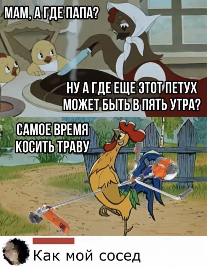 НУ А ГДЕ ЕЩЕ 3Т0Т5ПЕТУХ МОЖЕТ БЫТЬВ ПНТЬ УТРА САМОЕБРЕМЯ 351 кпситьтрдву 7 дд _М Ч 1 ч
