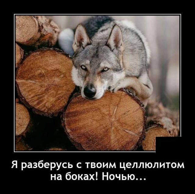 Я разберусь твоим целлюлитом на боках Ночью