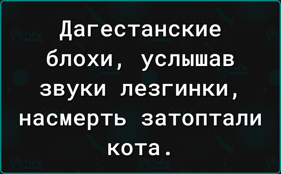 Дагестанские блохи услышав ЗВУКИ лезгинки НЭСМЭРТЬ затоптали кота