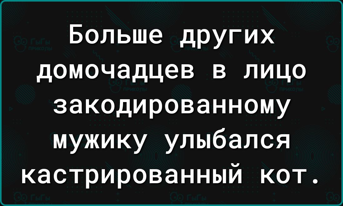 Больше других домочадцев в лицо закодированному мужику улыбался кастрированный кот