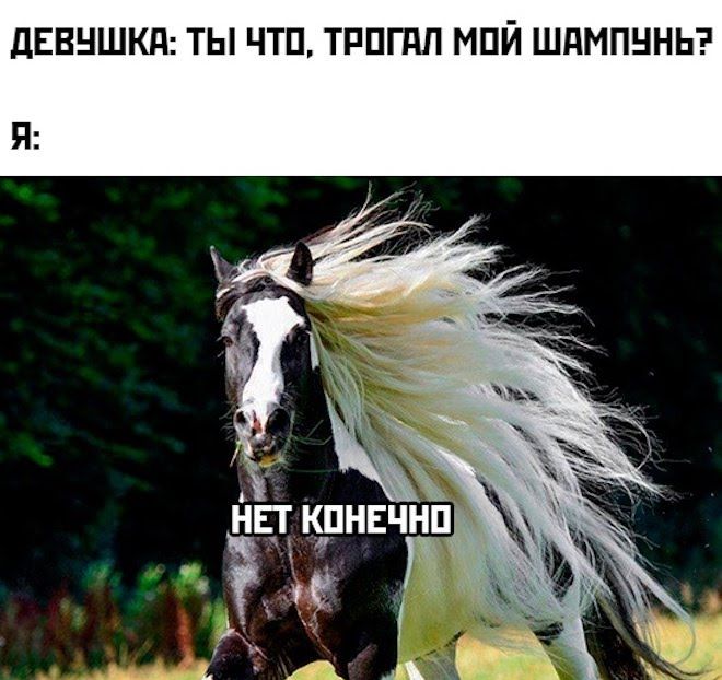 дЕВНШКд ТЫ ЧТП ТРПГПЛ МПЙ ШдМПННЬ
