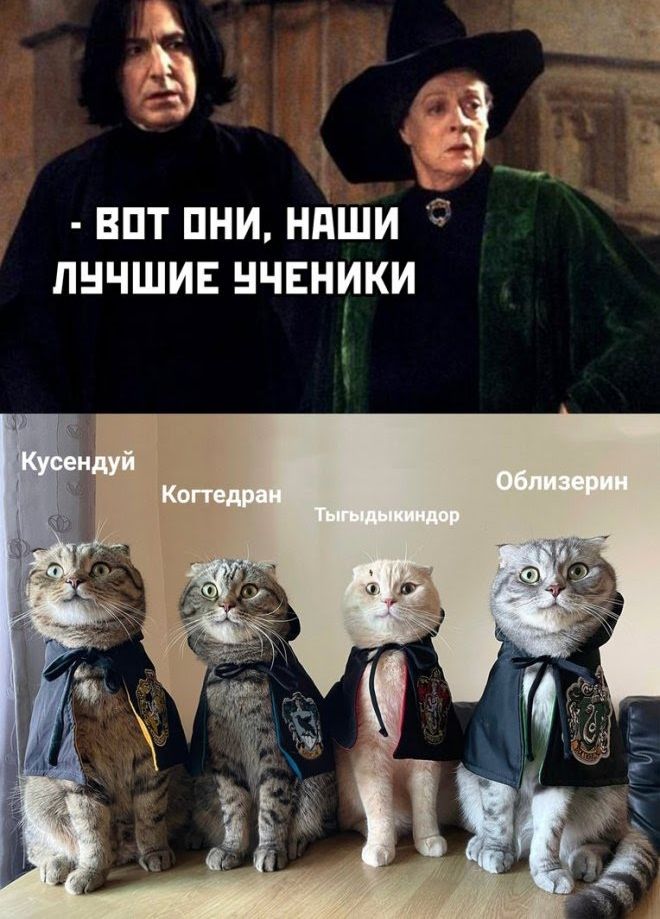 А впт пни нпши лнчшиъ нчвники