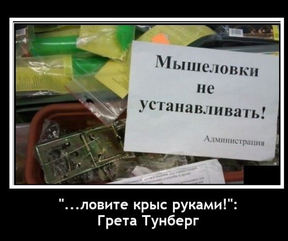 ышсмшкн В _СНПМВППЦПЬ повите крыс руками Грета Тунберг