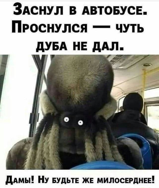 ЗАснул в АВТОБУСЕ Проснулся чуть дУБА нв дАл _ дАМЫ НУ БУДЬТЕ жв милосердии
