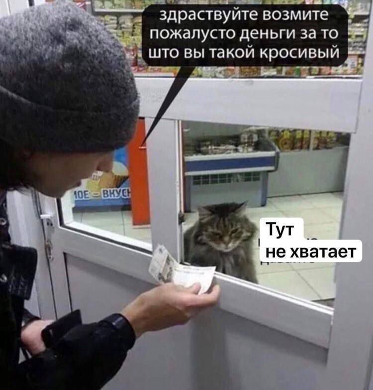 здраствуйте возмите пожалусто деньги за то што вы такой кросивый _ тут _ не хватает