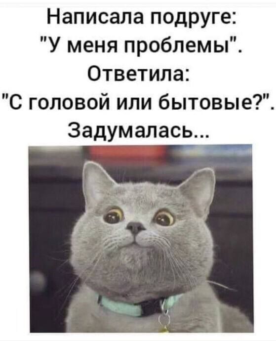 Написала подруге У меня проблемы Ответила С головой или бытовые Задумалась