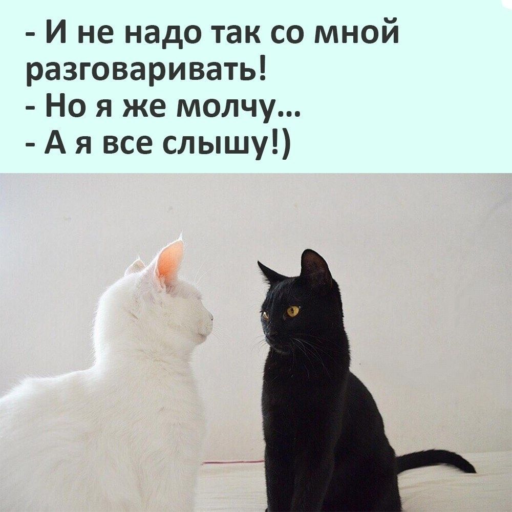 И не надо так со мной разговаривать Но я же молчу А я все слышу