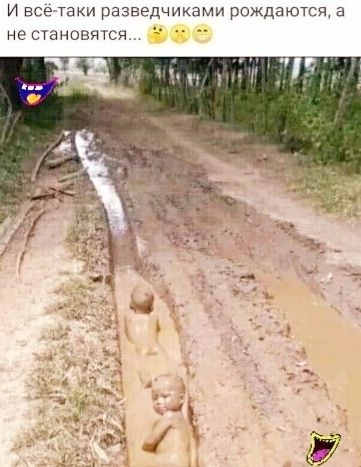 И всетаки разведчиками рсждаются а не СТЭНОВЯТСЯ