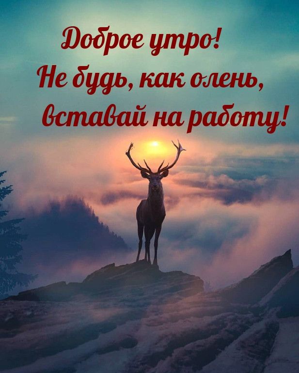 Как не философствуй как не матерись утром на работу встань и соберись картинка