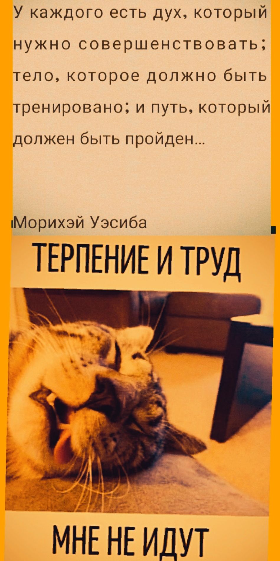 У каждого есть дух который нужно совершенствовать тело которое должно быть тренировано и путь который должен быть пройден Морихэй Уэсиба ТЕРПЕНИЕ И ТРУД МНЕ НЕ ИДУТ