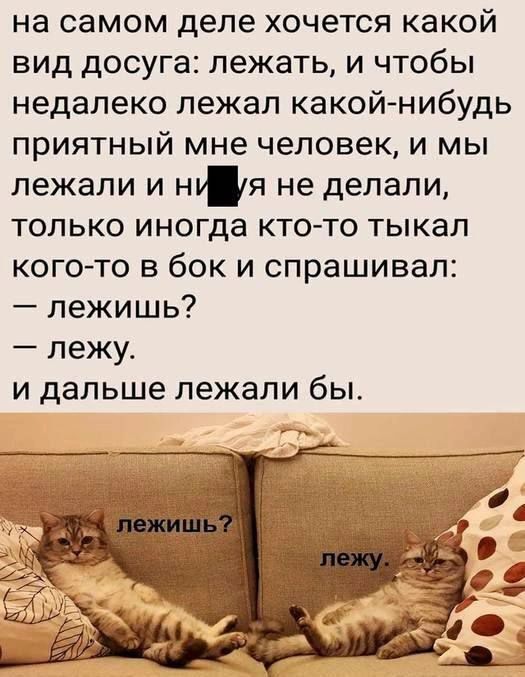 на самом деле хочется какой вид досуга лежать и чтобы недалеко лежал какой нибудь приятный мне человек и мы лежали и нуя не делали только иногда кто то тыкал кого то в бок и спрашивал лежишь лежу и дальше лежали бы