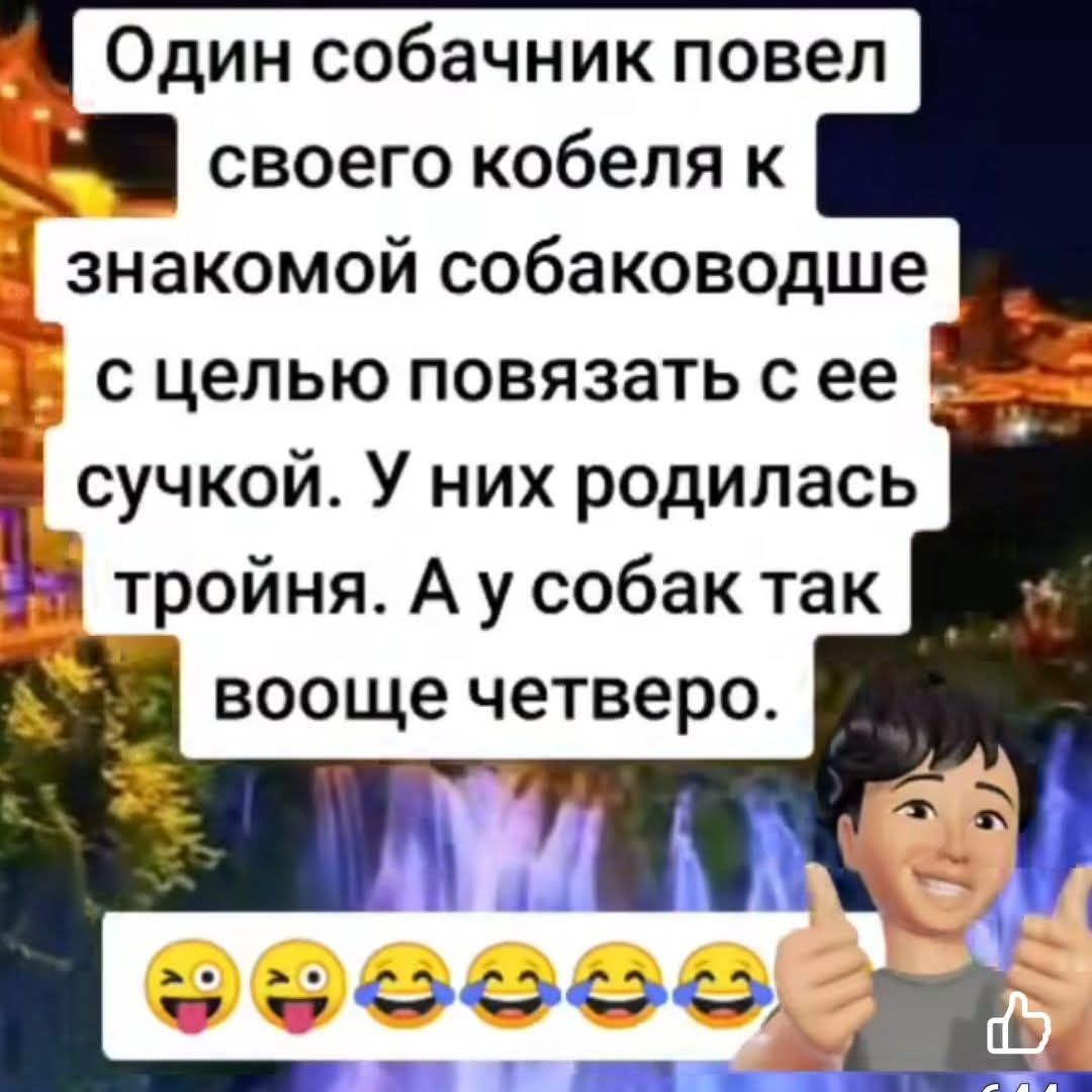 Один собачник повел ЫА своего кобеля к знакомой собаководше с целью повязать с ее сучкой У них родилась д тройня А у собак так вооще четверо