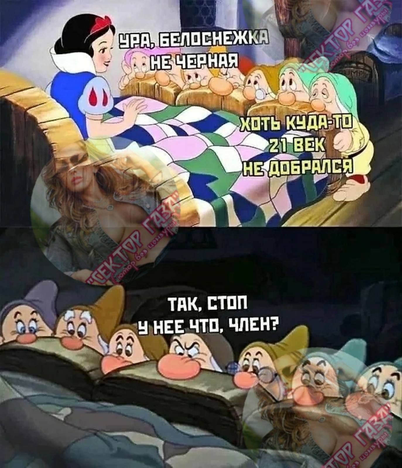 Так, стоп  неето, член?