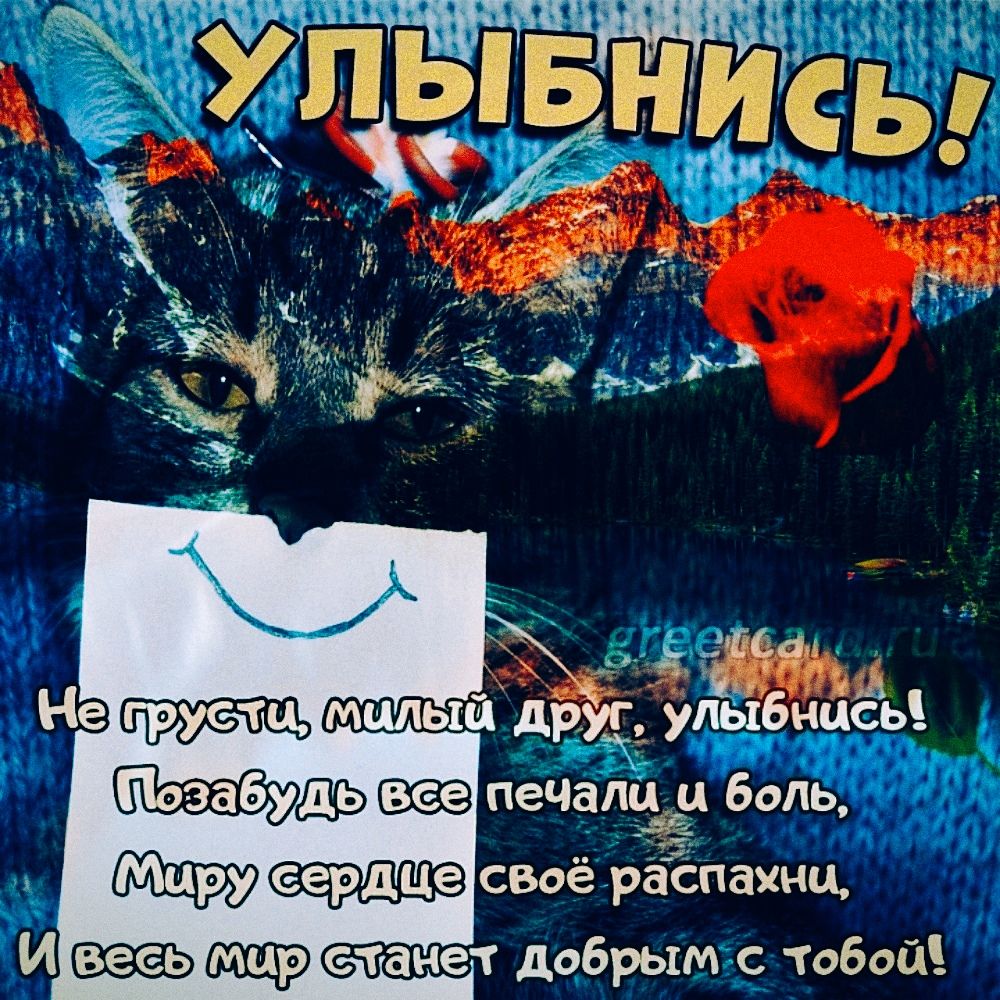 Позабудодвсе печашё боль, лиру своё распахни, игвесы!мирхеланет добрым:с тобой!