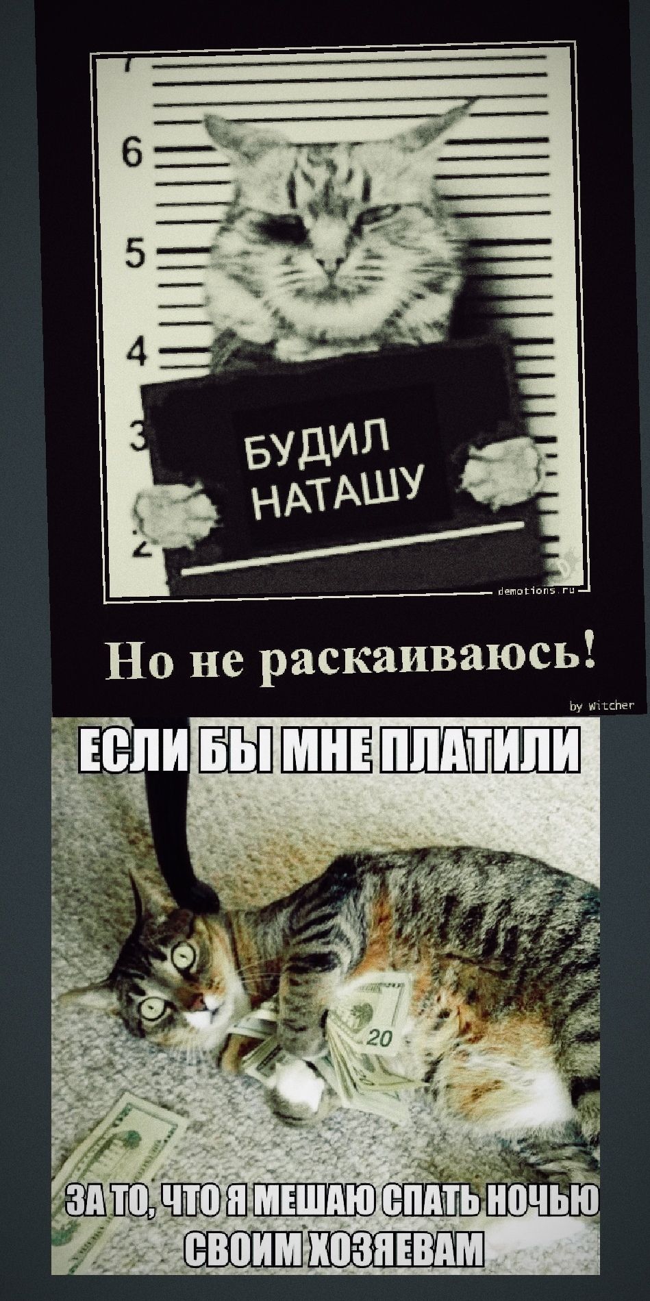 БУДИЛ НАТАШУ
Но не раскаиваюсь!
ЕСЛИ БЫ МНЕ ПЛАТИЛИ
ЗА ТО, ЧТО Я МЕШАЮ СПАТЬ НОЧЬЮ СВОИМ ХОЗЯЕВАМ