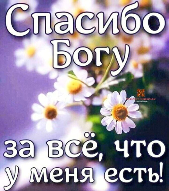 Спасибо Богу за всё, что у меня есть!