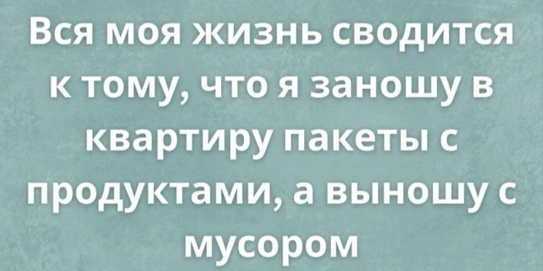 Вся моя жизнь сводится к тому, что я заношу в квартиру пакеты с продуктами, а выношу с мусором