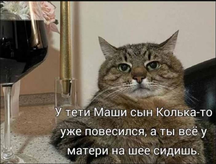 УЁети Маши сын Кольцато Уже повесился а ты всё у матери на шеесидишь