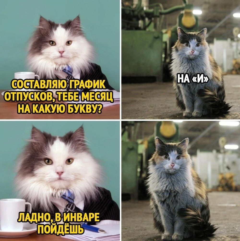 и в іі аотвляюгвдшщ А _ _ атакойвве месяц НА КАКУЮ БУКВУ