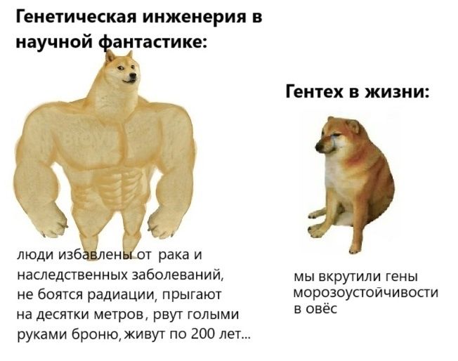 Геи тическая ииж исрия и научной кипит Пит х жизни люди и36 рака и наследственных заболеваний нкручили гены не бапки радиации прыгают мооЁЁоуаоичишти в он на десятки мыши рву голыми руками бронюкинуг по то ли