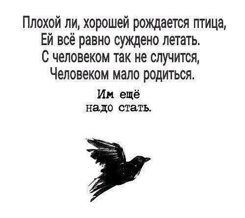 Плохой ли хорошей рождается птица Ей всё равно суждено летать С человеком так не случится Человеком мало родиться Ин ещё надо стать