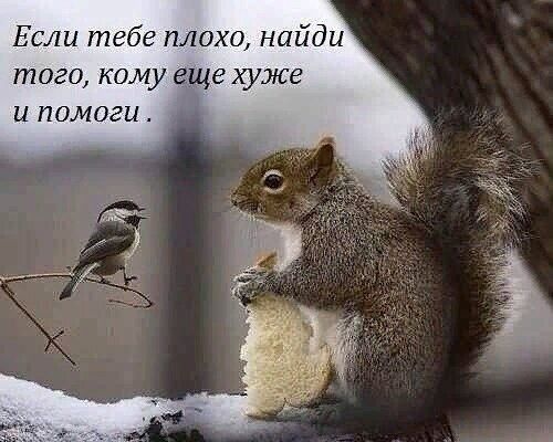Если тебе плохо найди того кому еще хуже и помоги