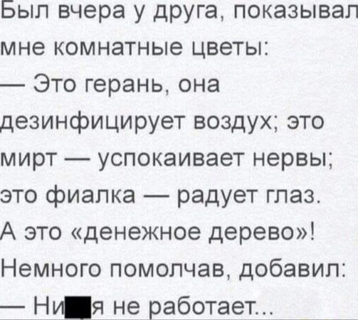 Был вчера у друга показывал мне комнатные цветы Это герань она дезинфицирует воздух это мирт успокаивает нервы это фиалка радует глаз А это денежное дерево Немного помолчав добавил Няя не работает