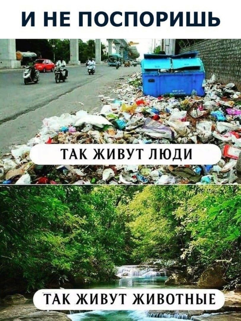 И НЕ ПОСПОРИШЬ _ _ __ ТАК ЖИВУТ ЖИВОТНЫЕ