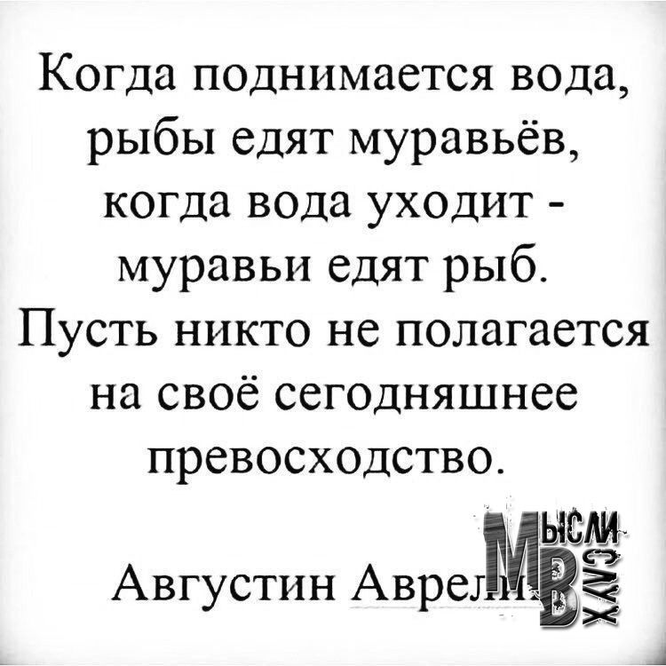 Когда поднимается вода рыбы едят муравьёв когда вода уходит муравьи едят рыб Пусть никто не полагается на своё сегодняшнее превосходство Августин Авретпаыии