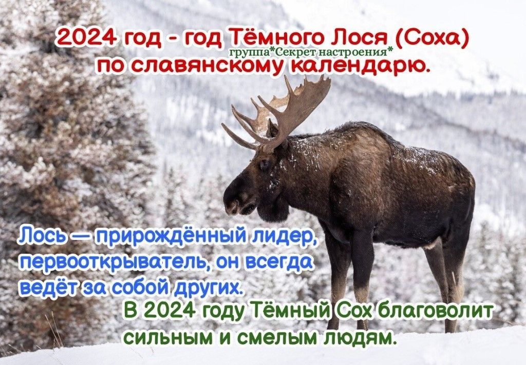 2924 гбц Тёмный Ссхбпідговолитгу ильным и смелым людям