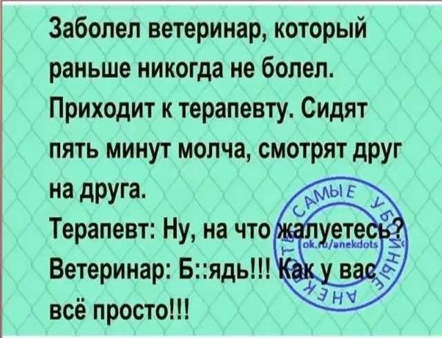 Заболел ветеринар который раньше никогда не болел Приходит к терапевту Сидят пять минут молча смотрят друг на друга Терапевт Ну на что Ветеринар Бядь д ва всё просто