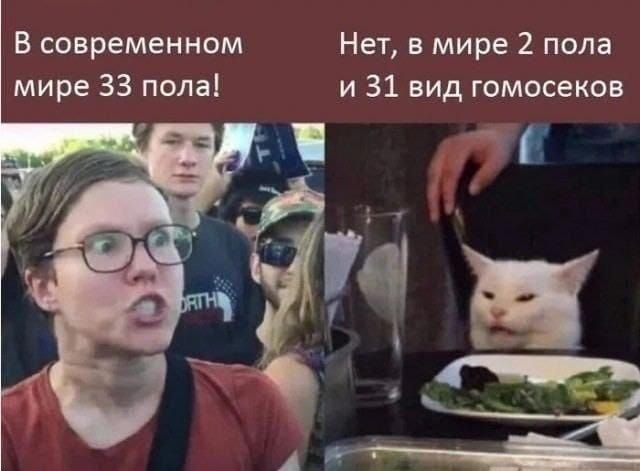 В современном мире 33 пола! Нет, в мире 2 пола и 31 вид гомосеков