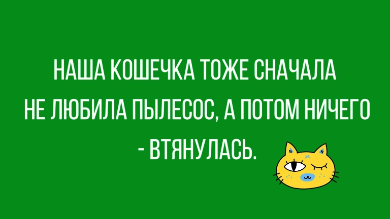 НАША КОШЕЧКА ТОЖЕ СНАЧАЛА НЕ ЛЮБИЛА ПЫЛЕСОС А ПОТОМ НИЧЕГО ВТЯНУЛАОЬ