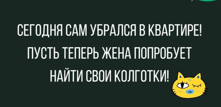 СЕГОДНЯ САМ УБРАЛСЯ В КВАРТИРЕ ПУСТЬ ТЕПЕРЬ ЖЕНА ПОПРОБУЕТ НАЙТИ СВОИ КОЛГОТКИ