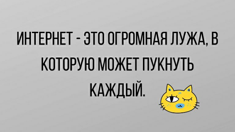 ИНТЕРНЕТ ЭТО ОГРОМНАЯ ЛУЖА В КОТОРУЮ МОЖЕТ ПУКНУТЬ КАЖДЫЙ