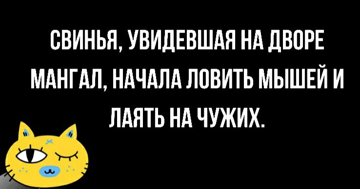 СВИНЬЯ УВИДЕВШАЯ НА ДВОРЕ МАНГАЛ НАЧАЛА ЛПВИТЬ МЫШЕЙ И ЛАЯТЬ НА ЧУЖИХ