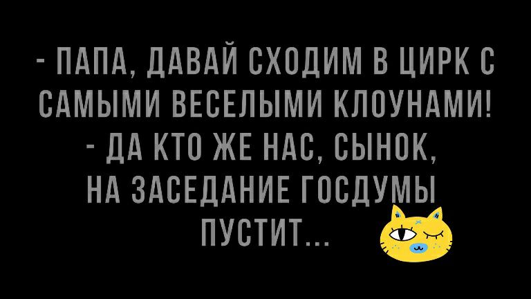 ПАПА ДАВАЙ ВХОДИМ В ЦИРК В ВАМЫМИ ВЕСЕЛЫМИ КЛОУНАМИ ДА КТО ЖЕ НАС БЫНПК НА ЗАСЕДАНИЕ ГПСДУМЫ ПУСТИТ