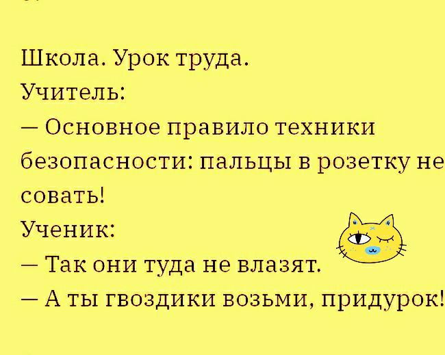 Школа Урок труда Учитель Основное правило техники безопасности пальцы в розетку не совать Ученик Так они туда не влазят А ты гвоздики возьми придурок