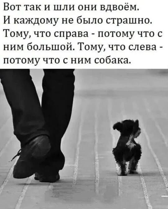 Вот так и шли они вдвоём И каждому не было страшно Тому что справа потому что с ним большой Тому что слева потому что с ним собака