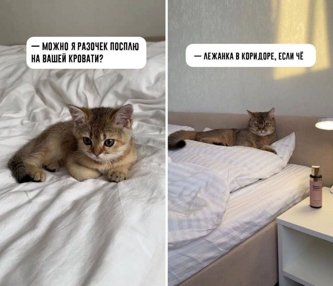— Можно я разочек послежу на вашей кровати?
— Лежанка в коридоре, если че