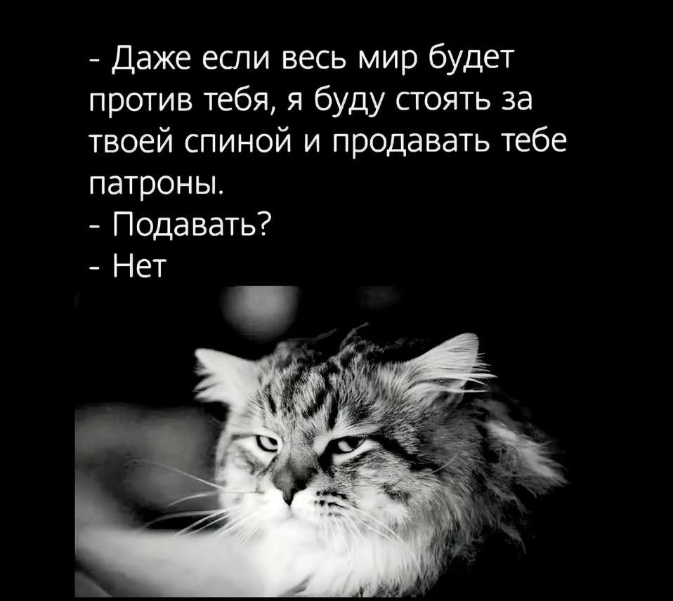 - Даже если весь мир будет против тебя, я буду стоять за твоей спиной и продавать тебе патроны.
- Подавать?
- Нет